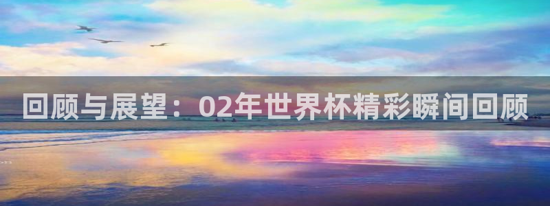 世界杯欧洲区预选赛：回顾与展望：02年世界杯精彩瞬间回顾