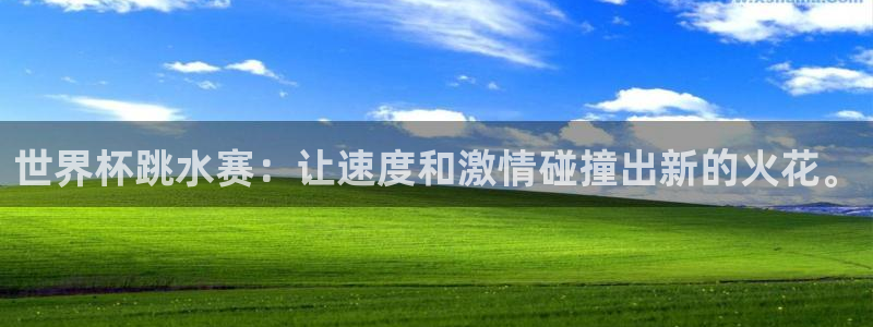 世界杯预选赛：世界杯跳水赛：让速度和激情碰撞出新的火花。