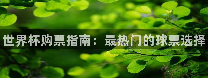 今天所有足球赛程表：世界杯购票指南：最热门的球票选择