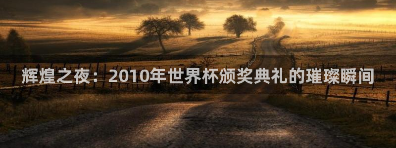 世界杯比赛：辉煌之夜：2010年世界杯颁奖典礼的璀璨瞬间