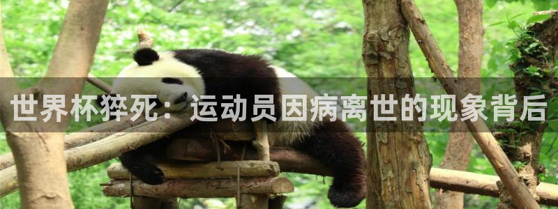 足球世界杯2026年赛程时间表：世界杯猝死：运动员因病离世的现象背后