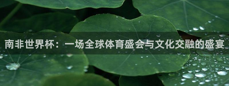 世界杯今年：南非世界杯：一场全球体育盛会与文化交融的盛宴