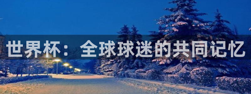 世界杯 中国：世界杯：全球球迷的共同记忆