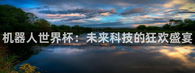 世界杯比赛直播：机器人世界杯：未来科技的狂欢盛宴