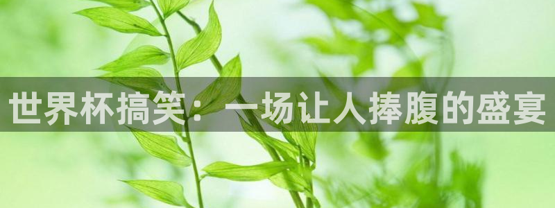 2026世界杯小组赛赛程时间表：世界杯搞笑：一场让人捧腹的盛宴
