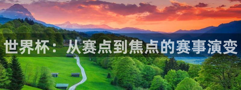 足球世界杯：世界杯：从赛点到焦点的赛事演变