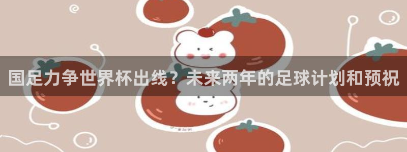 2026年世界杯时间表：国足力争世界杯出线？未来两年的足球计划和预祝