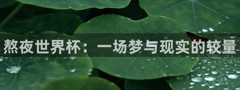 美国世界杯：熬夜世界杯：一场梦与现实的较量