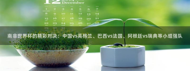 欧洲世界杯预选赛：南非世界杯的精彩对决：中国vs英格兰、巴西vs法国、阿根廷vs瑞典等小组强队