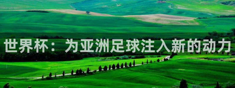 世界杯直播平台：世界杯：为亚洲足球注入新的动力