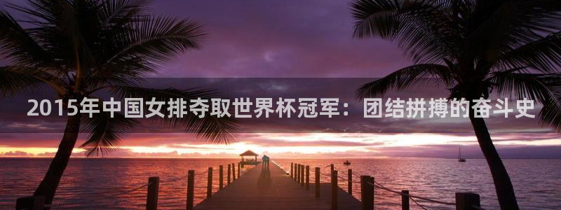 2026世界杯直播免费观看：2015年中国女排夺取世界杯冠军：团结拼搏的奋斗史
