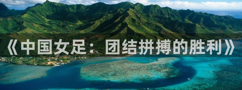 世界杯2026比赛时间表：《中国女足：团结拼搏的胜利》